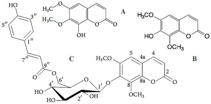 Figure 11