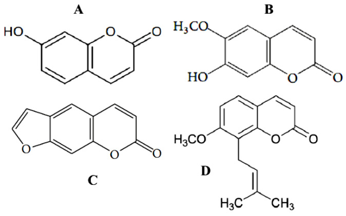 Figure 8