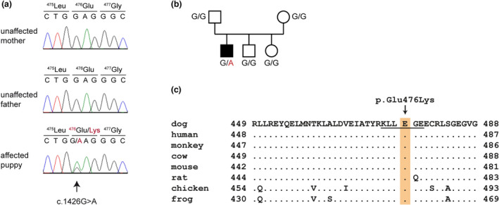 FIGURE 2