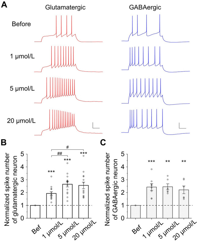 Fig. 4