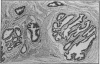 1458-2