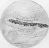 1458-2