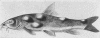 1458-1