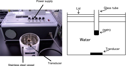 Fig. 1