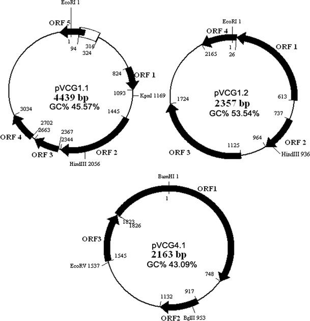 Fig. 3