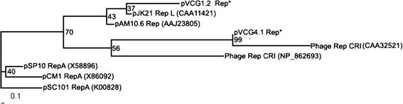 Fig. 4