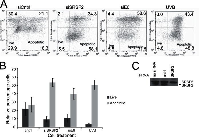 FIG 6