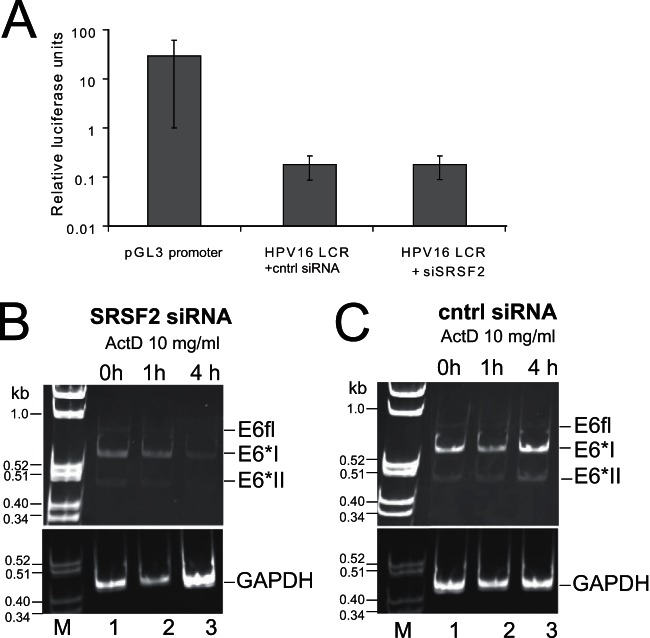 FIG 8