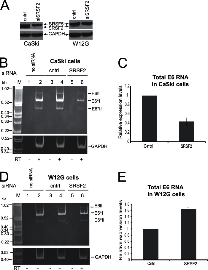 FIG 4