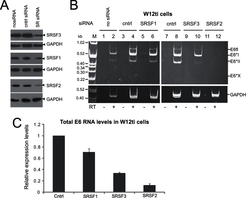 FIG 3