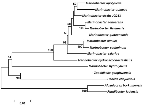 FIGURE 1