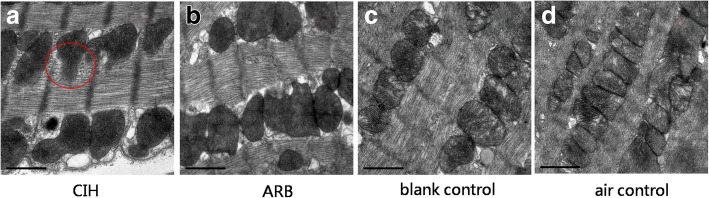 Fig. 6