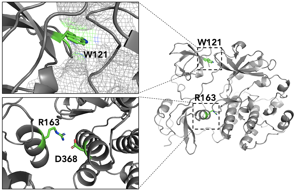 Figure 4.