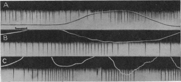 Fig. 11