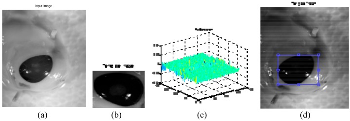 Figure 12