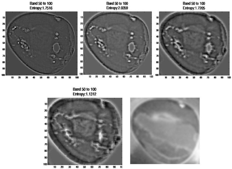 Figure 14