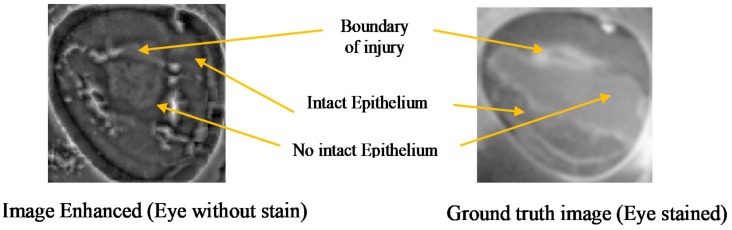 Figure 15