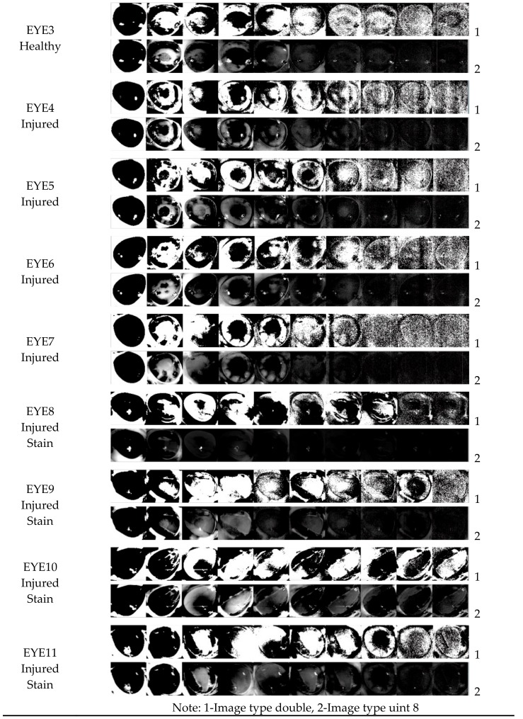 Figure 11