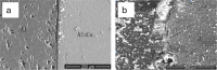 Fig. 12