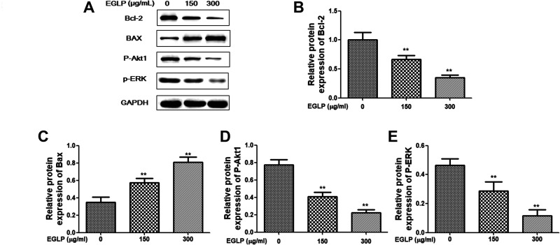 Fig. 4.