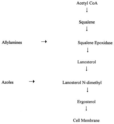 FIG. 7