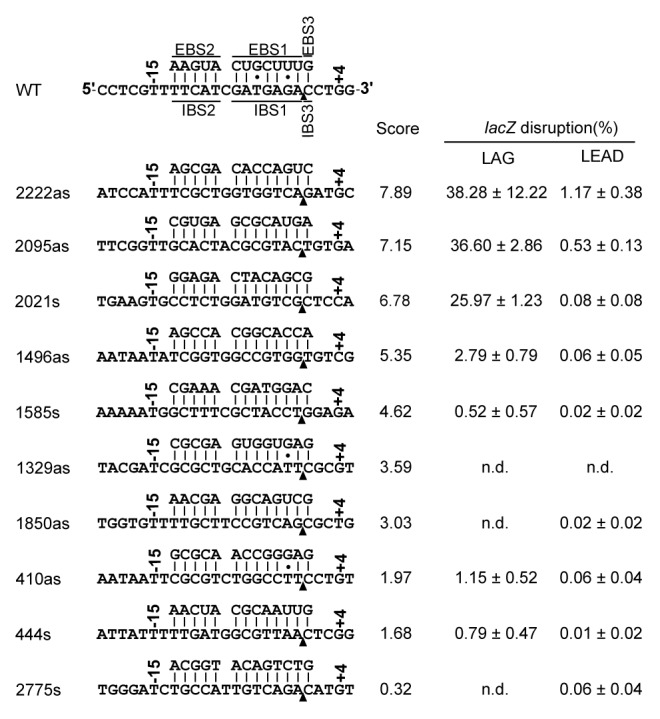 graphic file with name rna-11-391-g6.jpg