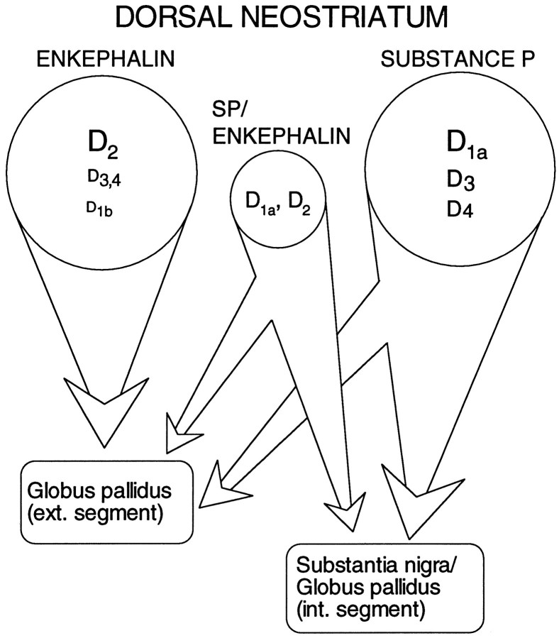 Fig. 10.