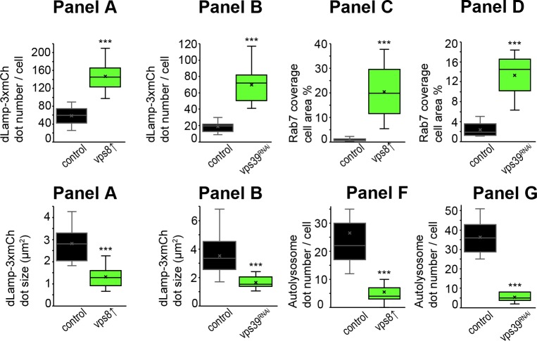 Figure 4—figure supplement 1.