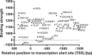 Figure 5