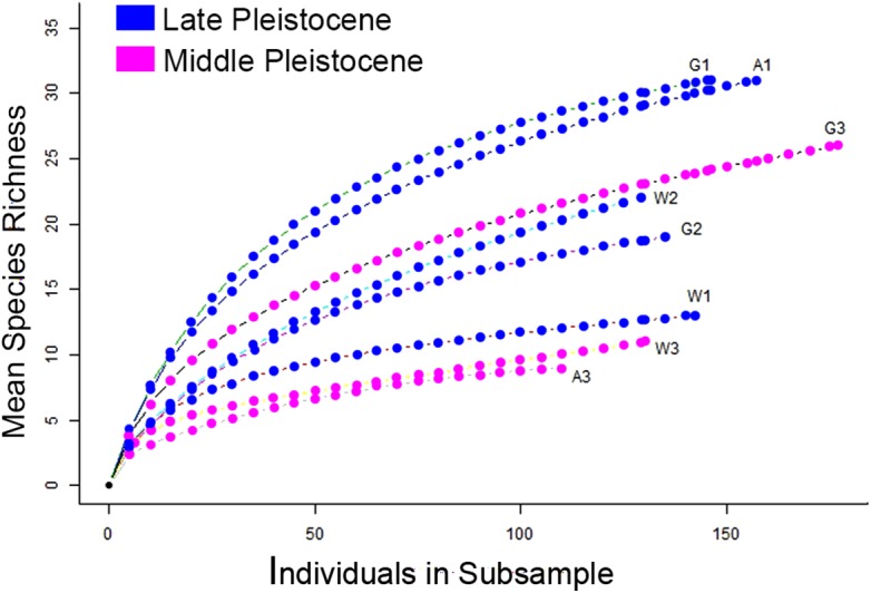 Figure 21