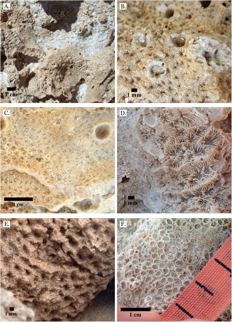Figure 19