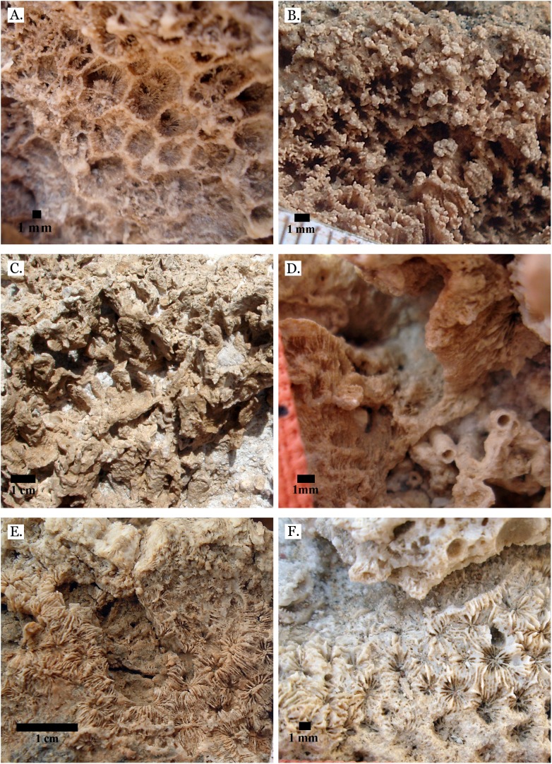 Figure 18
