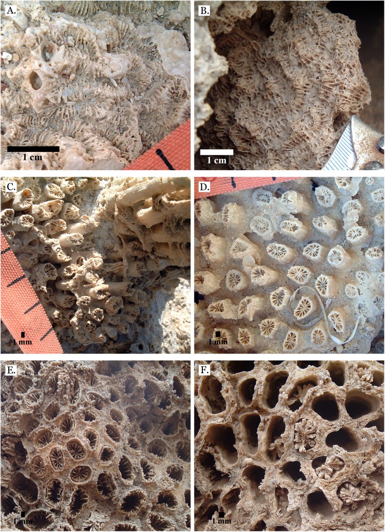 Figure 16