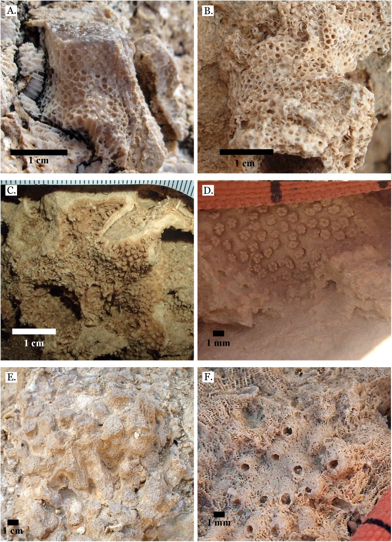 Figure 17