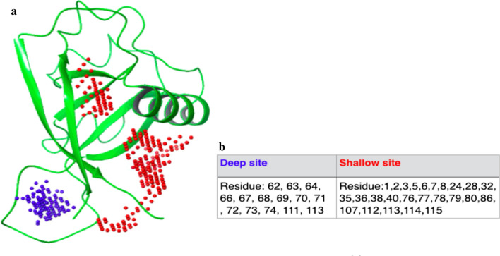 Figure 2