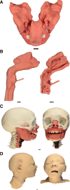 Figure 3.