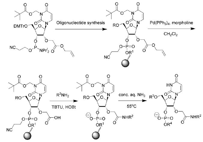 Scheme 2