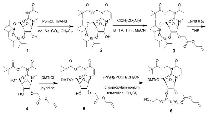 Scheme 1