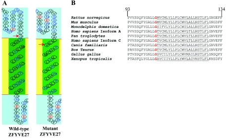 Figure  5. 