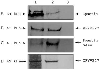 Figure  3. 