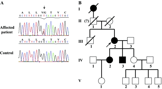 Figure  4. 