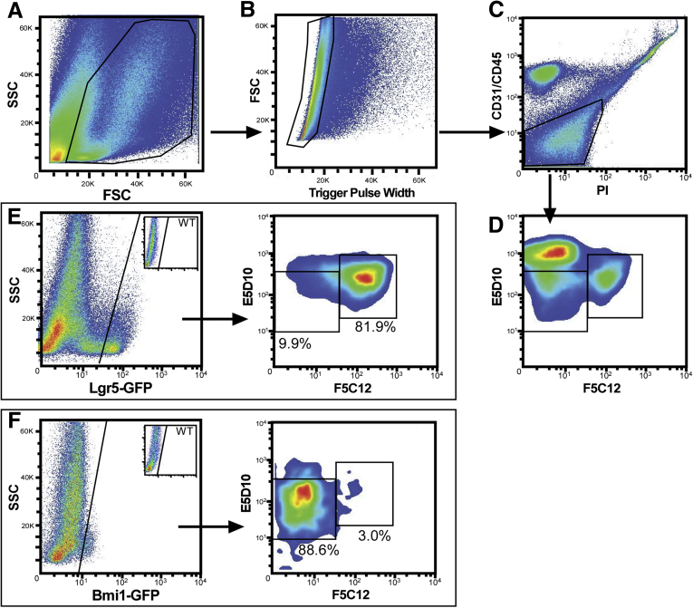 Figure 6