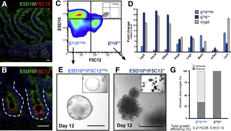 Figure 5