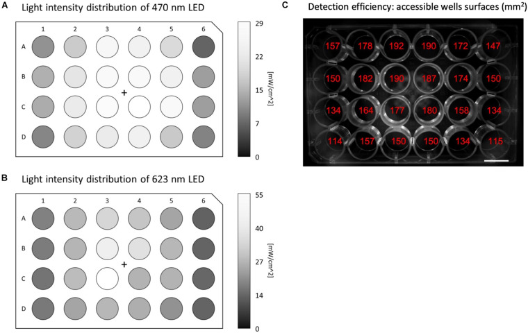 FIGURE 2