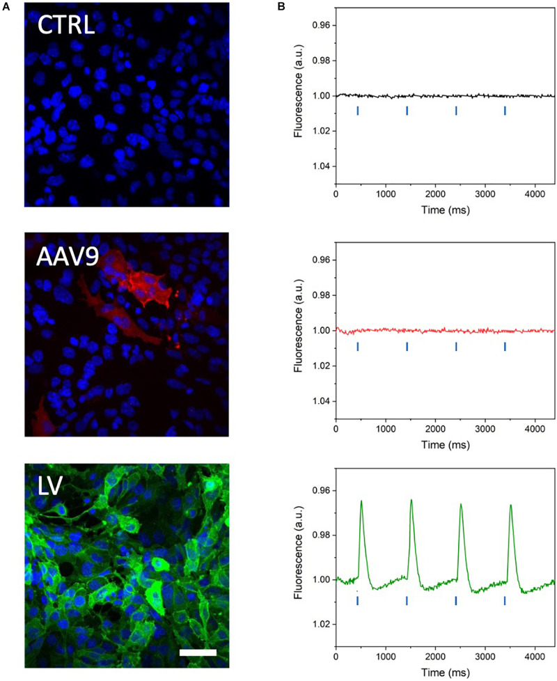 FIGURE 3