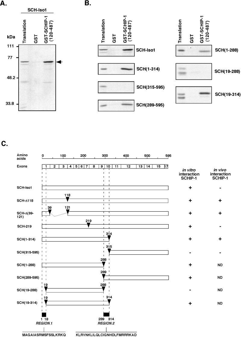 FIG. 4