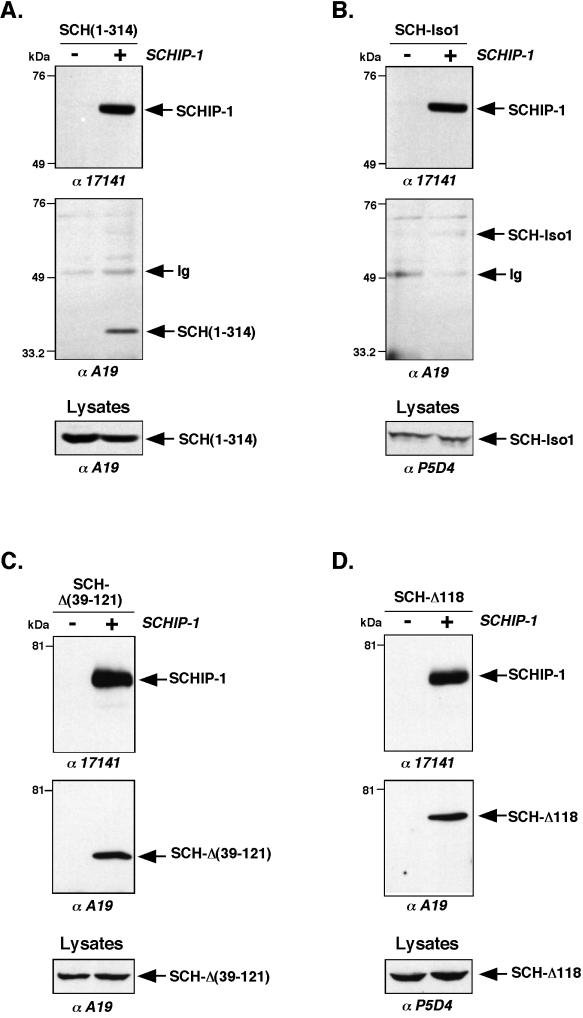 FIG. 7