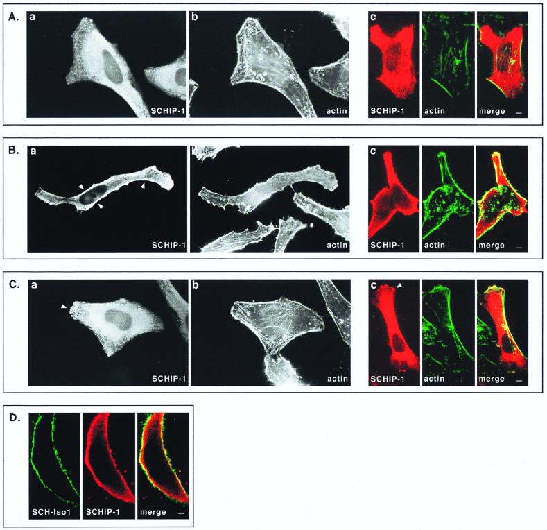 FIG. 8