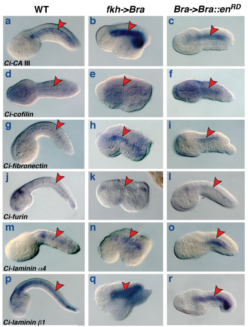 FIG. 6