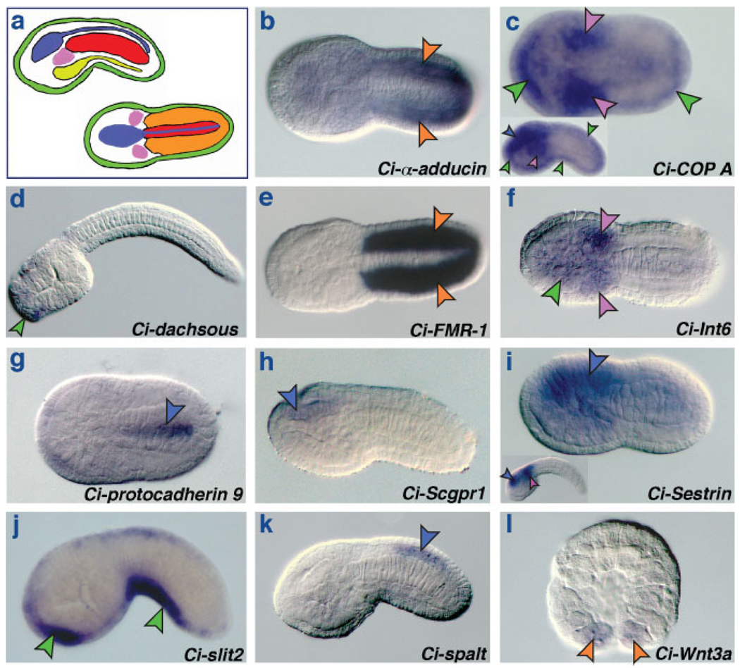 FIG. 3